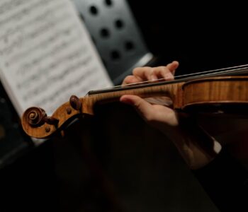 pexels-cottonbro-7095505